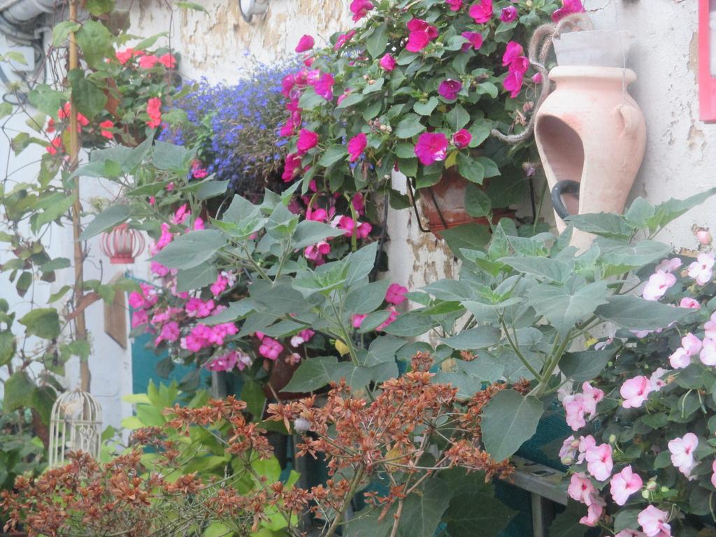 Hotel Le Parisien Saintes Exterior foto